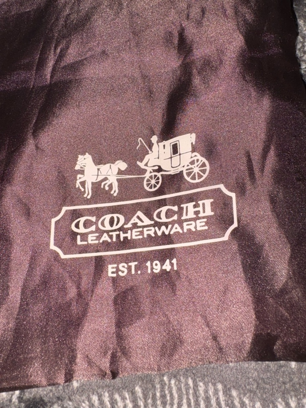 Coach Dust Bag Carriage Logo in Brown